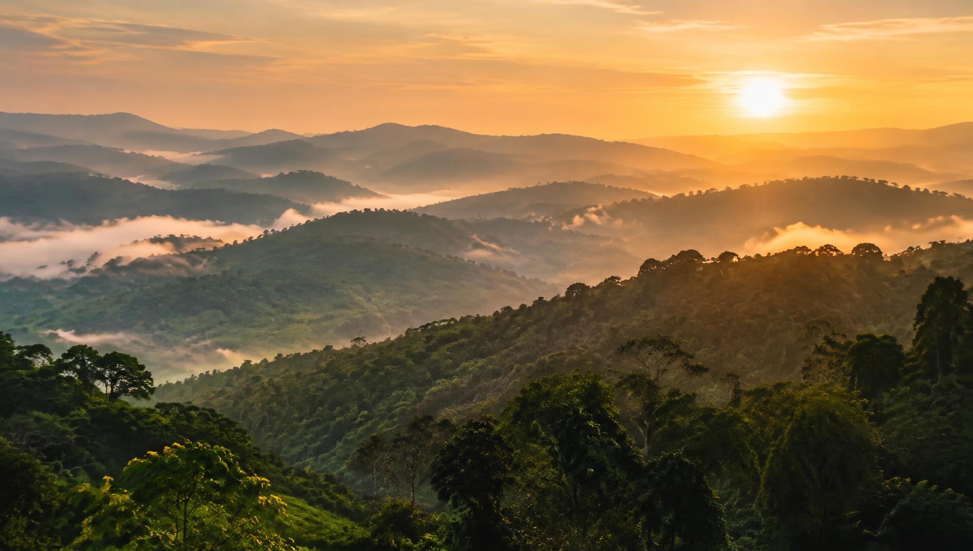 Misty hills of southwestern Uganda at sunrise